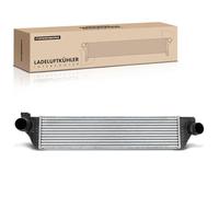 Frankberg Intercooler Diesel Compatibile con Master III Bus JV 2.3L Movano B Bus X62 2.3L NV400 Bus X62 X62B 2.3L NV400 Furgone X62 X62B 2.3L Movano B Furgone X62 2.3L Replace# 4420575