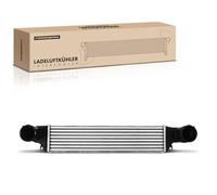 Frankberg Intercooler Diesel Compatibile con X3 E83 2.0L Serie 3 Touring E46 2.0L Serie 3 Compact E46 2.0L Serie 3 Touring E46 3.0L Serie 3 Touring E46 2.9L Replace# 7789793