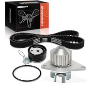 Frankberg Kit cinghia dentata Set cinghia dentata Compatibile con C2 JM 1.1 C3 I FC FN 1.1i 206+ 2L 2M 1.1 206 Compatto 2A/C 1.1i 106 II 1A 1C 1.1i Replace# KP15574XS,7883-13067