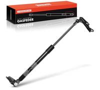 Frankberg Molla a gas Portellone posteriore Sinistra Compatibile con Yaris P1 Compatto 2002-2005 Yaris SCP1 NLP1 NCP1 Compatto 1999-2005 Replace# 6896005925