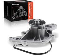 Frankberg Pompa dell'acqua 3165V003
