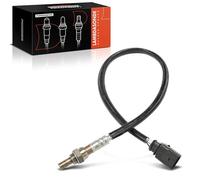 Frankberg Sensore Lambda 03E906262B | Compatibile con: Polo 9A 9N, Polo 6C1 6R1, R.o.o.m.s.t.e.r 5J7, Ibiza IV ST 6J8 6P8, Rapido NH3 NK3 NK6