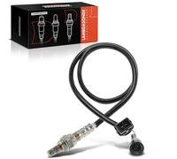 Frankberg Sensore lambda 048906265 | Compatibile con: Spazio II J/S63, 80 Avant 8C5, 80 8C2, A6 Avant 4A5, 100 4A2, 100 Avant 4A5, Stratus SÌ, Delta II 836