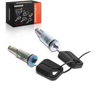 Frankberg Serratura a cilindro per porta, con 2 cilindri, in metallo, compatibile con FM FH Replace# 30904842C2K