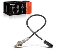 Frankberg Sonda lambda Sonda diagnostica Compatibile con Fiesta VI CB1 CCN Focus Turnier DNW Focus DAW DBW 2 DY Fiesta V JD JH Replace# 250-24001