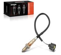 Frankberg Sonda lambda Sonda diagnostica Compatibile con Focus DAW DBW C-Max DM2 KA RB Focus II DA DP HCP Focus II Cabriolet Replace# 250-24701