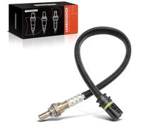 Frankberg Sonda lambda Sonda diagnostica Compatibile con Serie 3 Cabriolet E46 Serie 3 E46 Serie 5 E39 Serie 5 E60 Serie 3 Touring E46 Replace#