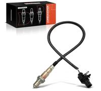 Frankberg Sonda lambda Sonda diagnostica Compatibile con V70 II 285 XC90 I 275 XC70 Cross Country 295 XC90 I Van 275 S60 I 384 Replace# 30751034,30650902