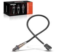 Frankberg Sonda Lambda sonda diagnostica CV6Z9G444C