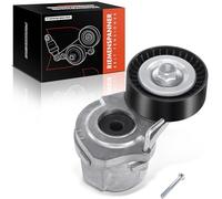 Frankberg Tendicinghia puleggia 55565570