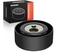 Frankberg Tenditore per cinghia Replace# 9618888580