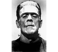Frankenstein - Boris Karloff Poster - 24x36 Shrink Avvolto - 1931 Film 3185