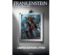 Frankenstein By Lee Bermejo S/n Lito Litografia Infinite Statua