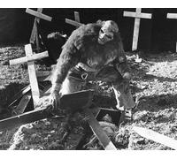 Frankenstein E Il Mostro Da Poster Stampa 24x20"