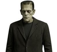 Frankenstein’s Monster (Blazer) Half Body Buddy Cutout