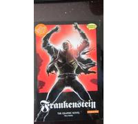 Mary Shelley Frankenstein The Graphic Novel: Original Text (Tascabile)