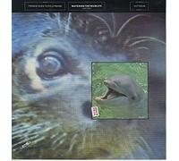 Frankie Goes To Hollywood - Watching The Wildlife - Hotter