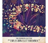 FRANKLIN ELECTRIC - THIS IS HOW I LET YOU..