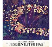 Franklin Electric - This Is How I Let You Down