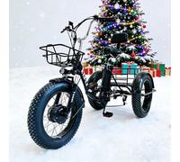 FRANREADER Triciclo Elettrico per Anziani, Pieghevole con Ruote Grasse, Stabile e Sicuro, per Passeggiate e Commissioni