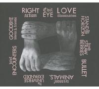 Franz Ferdinand - Right Thoughts,Right Words,Rig
