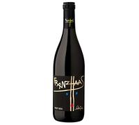 FRANZ HAAS Alto Adige DOC Pinot Nero Schweizer 2016 Corkfree (1 x 0,75 l) vino rosso