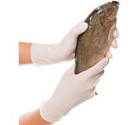 Franz Mensch ALLFOOD SAFE 26161 250 St. Einweghandschuh Größe (gloves): S S Whit