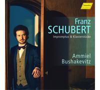 Franz Schubert Franz Schubert: Impromptus & Klavierstücke (CD) Album