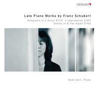 Franz Schubert Late Piano Works By Franz Schubert (CD) Album