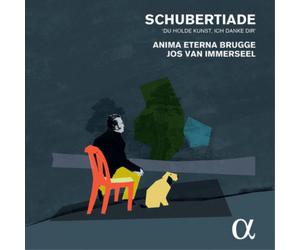 Franz Schubert Schubertiade: 'Du Holde Kunst, Ich Danke Dir' (CD) Album