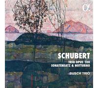 Franz Schubert - Trio Op. 100, Sonatensatz - Cd