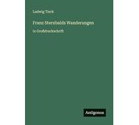 Franz Sternbalds Wanderungen: in Großdruckschrift