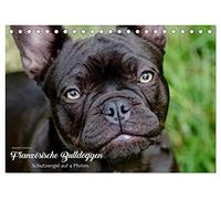 Französische Bulldoggen - Schutzengel auf 4 Pfoten (Tischkalender 2026 DIN A5 quer), CALVENDO Monatskalender: Die Fotografin Kerstin Grüttner hält für ... hochqualitativen Fotojahreskalender fest.