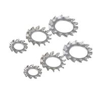 Rondella di bloccaggio seghettata dentata esterna in acciaio inossidabile 316 Guarnizione a stella antiurto M3 M4 M5 M6 M8 M10 M12 M14 M16 M20(External Toothed,M4 (100pcs))