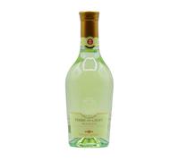 Frascati DOC Terre dei Grifi 2022 - Fontana Candida [0.375 lt] 0.375 lt