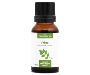 Frassino BIO - Macerato concentrato di gemme fresche (Fraxinus Excelsior)