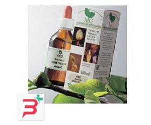 FRASSINO MACERATO GLICERICO 100 ML