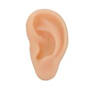 FRCOLOR 1 Pezzo Di Orecchio Sinistro in Silicone Realistico e Utile Per Insegnamento e Visualizzazione Professionale Strumento Di Simulazione Per Consulenti Audioprotesisti e Scuole Di Med