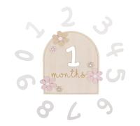 FRCOLOR 1 set Dischi per Annuncio Mensile per Catturare La Del Accessori per Foto per Shower e Compleanni