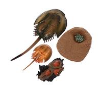 FRCOLOR 1 set Giocattoli Educativi Animali Marini Miniatura Realistici per Decorazioni e Apprendimento Sicuri e Ecologici per Giochi Esterni e Didattici