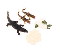 FRCOLOR 1Set Giocattoli Simulazione Animali Marini per Decorazioni e Didattica per Collezionisti Migliora La Conoscenza Animali e Regali per Ragazzi e Ragazze