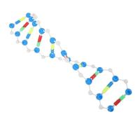 FRCOLOR 2 Didattico Dna Doppia Assemblabile per Biologia Kit Interattivo per Studenti con Componenti Resistenti e Apprendimento Pratico Aiuto Scientifico per Scuole e Laboratori