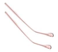 FRCOLOR 2 Paia Accessori Per Occhiali Braccia Per Occhiali Dentro Aste Per Sostituzione Della Cerniera Degli Gamba Per Riparazione Titolare Rose Gold Metallo