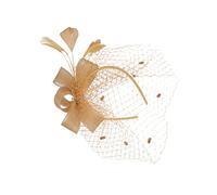 FRCOLOR 2 Pz Fiore a testa di maglia veli per spose Nozze fascinatori d'oro per matrimoni velo accessori halloween accessori per halloween forcina di cerchietto per piuma