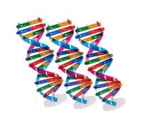 FRCOLOR 3 Kit Dna Doppia Realistico per Apprendimento Biologia Molecolare Didattico per Studenti Stimola Creatività e Lavoro Gruppo