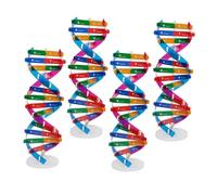 FRCOLOR 4 Dna Doppia Kit Educativo da Te per Studenti Strumento Didattico Scientifico Dettagliato e Resistente per Apprendimento e Divulgazione