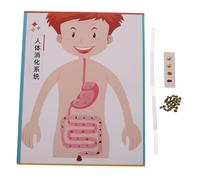 FRCOLOR 4sets Di Apparato Digerente Per Ragazzo Kit Di Esperimenti Scientifici Da Te Materiale Didattico Per Scuola Media Giocattoli Educativi Interattivi