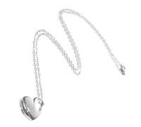 FRCOLOR Ciondolo Commemorativo Cuore Animale Domestico Cuori Collana Per Cenere Collana Di Ceneri Di Animali Domestici Collana Con Urna Per Le Ceneri Acciaio Inossidabile Silver