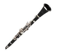 FRCOLOR Clarinetto in Bakelite e Metallo Leggero e Sicuro per Principianti, Strumento Musicale Nero in Si Bemolle per Studio e Concerti