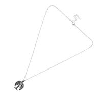 FRCOLOR Collana Urna Collana Con Urna Di Cenere Collana Con Urna Per Le Ceneri Collana Per Cenere Collana Per Ceneri Da Uomo Urna Per Collana Acciaio Titanio